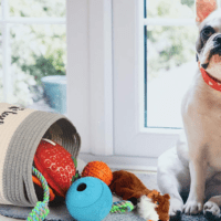 Best Dog Toy Basket