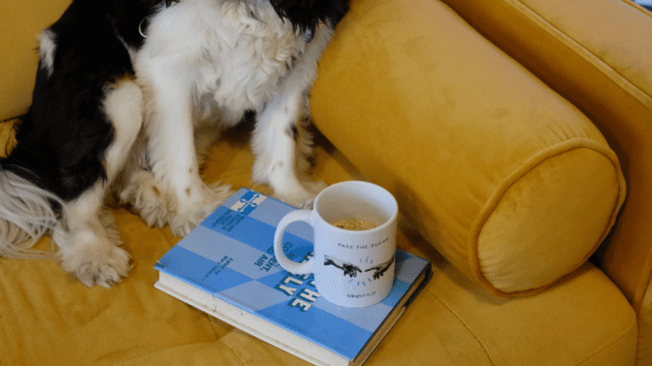 14 Best Dog Training Books for Puppy Owners