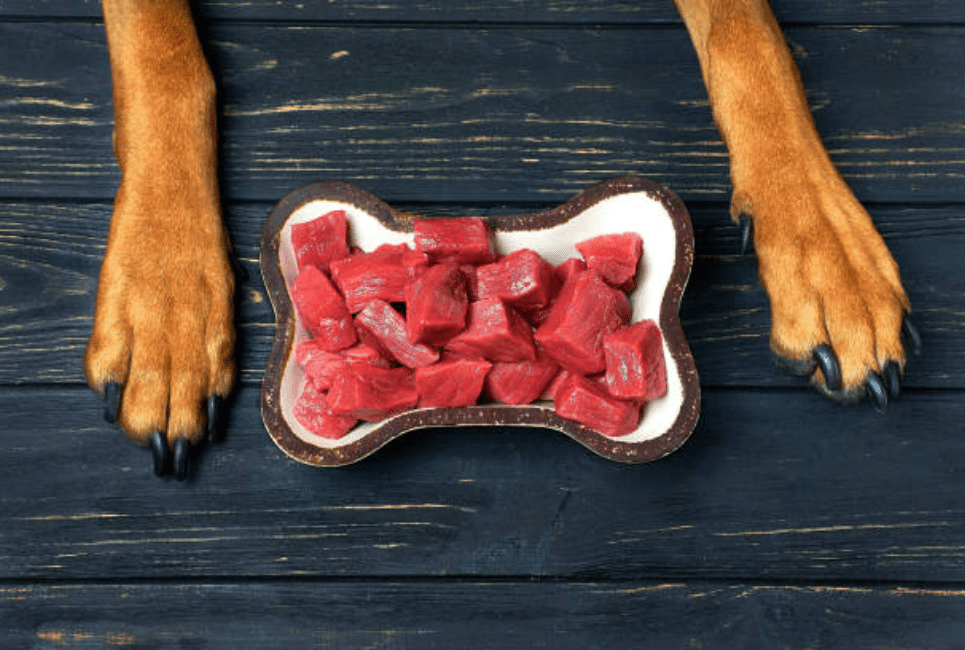 Best Raw Dog Food Brands Complete Buyer's Guide