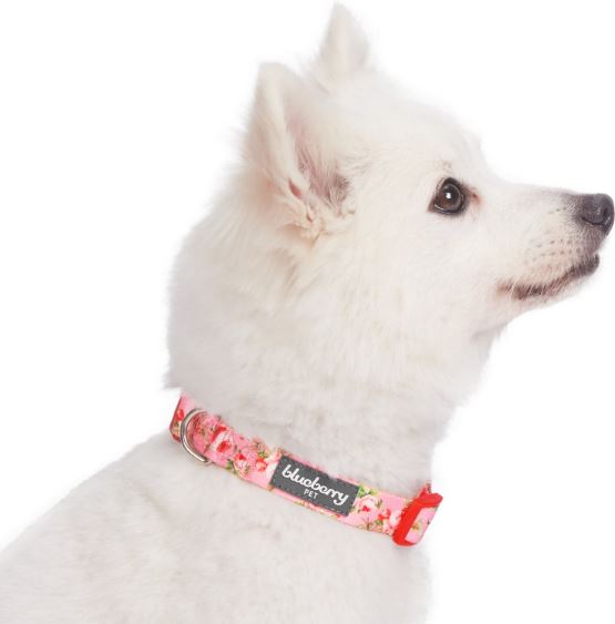 Blueberry Pet Floral Prints Polyester Dog Collar | Chewy