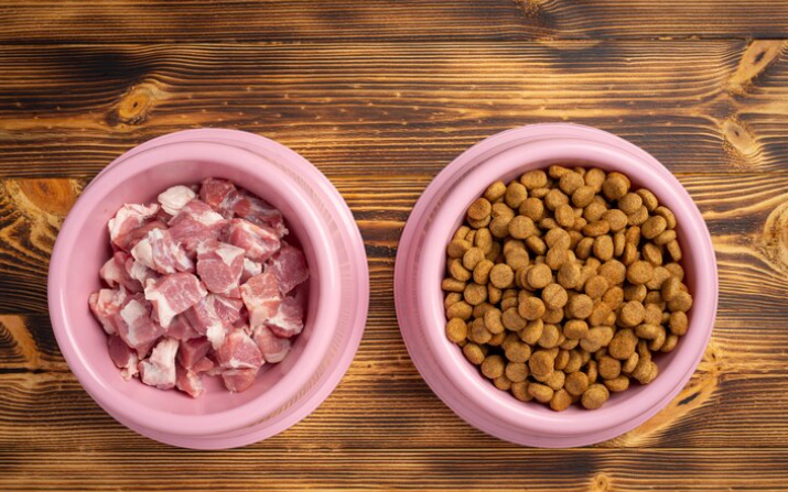 Kibble vs. Fresh