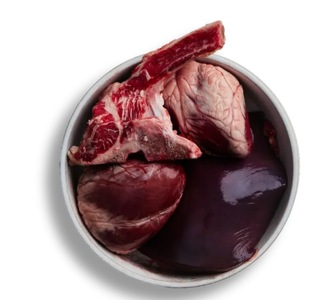 Primal Dog Food Alternatives