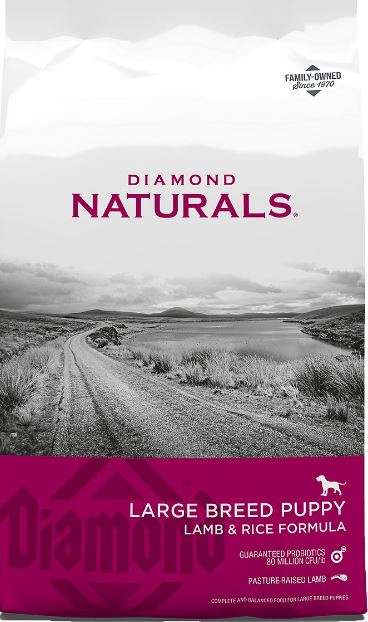 Diamond Naturals Large Breed Puppy Formula Dry Dog Food | Chewy