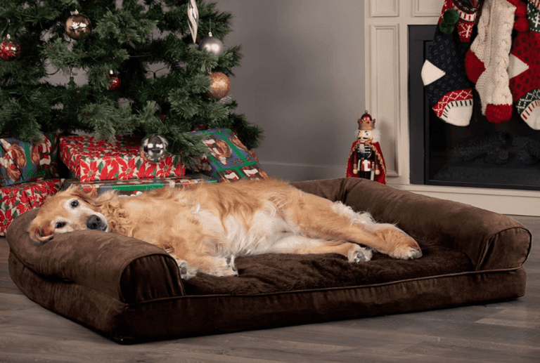 7 Best Dog Bed Ideas For Great Dane (DIY Options) Scout Knows