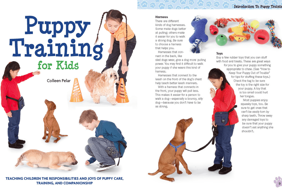 Puppy Training for Kids