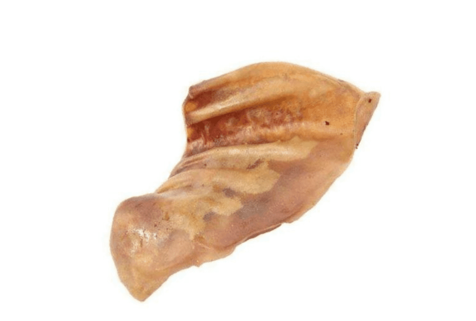 Best Pig Ears For Dogs Guide My Top 5 Picks Scout Knows