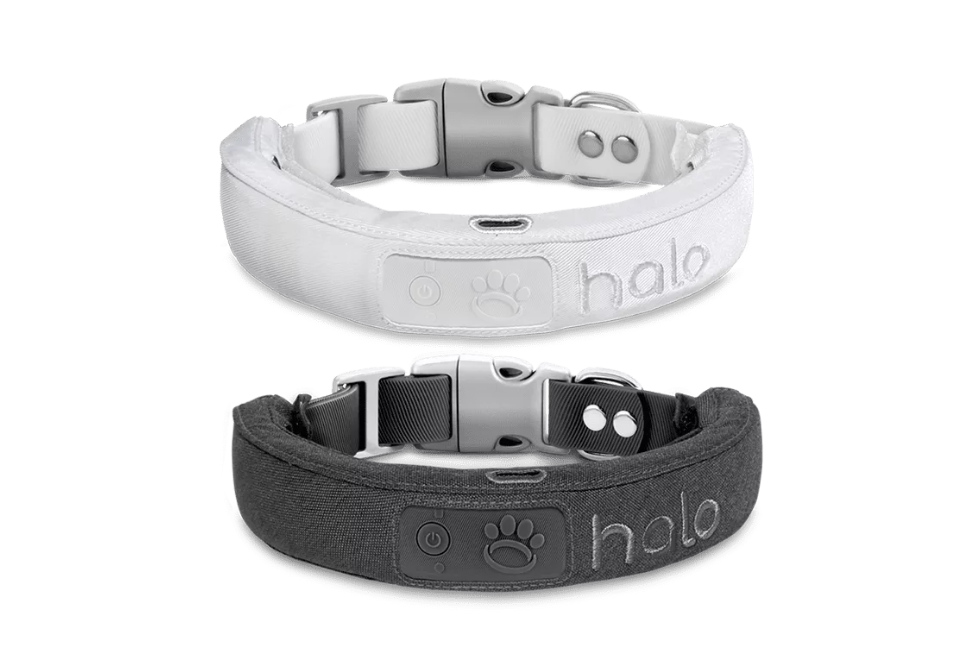 Halo 2+ Collar White and black