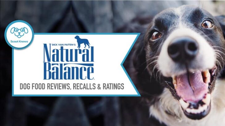 Natural Balance Dog Food Reviews