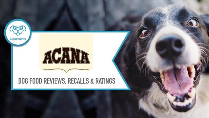 Acana Dog Food Reviews