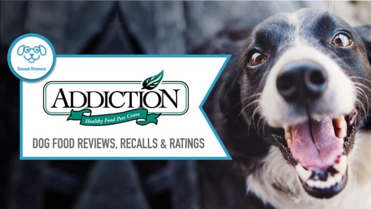 Addiction Dog Food Reviews