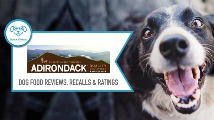 Adirondack Dog Food Review (Buyer’s Guide)