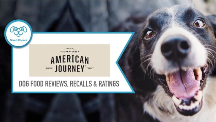 American Journey Dog Food Reviews & Recall