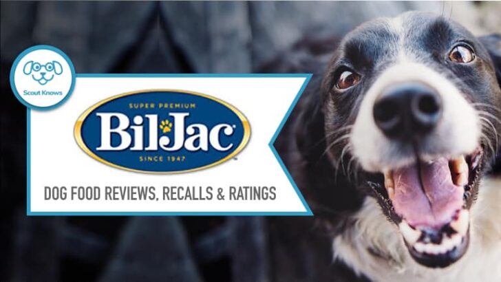 Bil Jac Dog Food Reviews