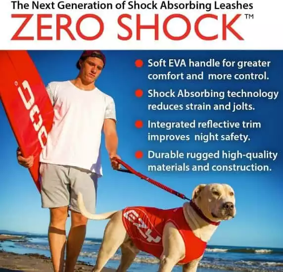 EzyDog Zero Shock Absorbing Dog Leash | Chewy