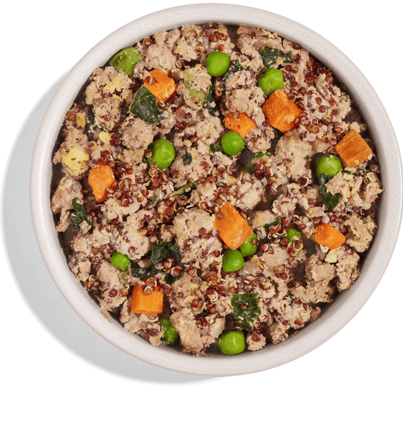 Fresh-Turkey-Bowl