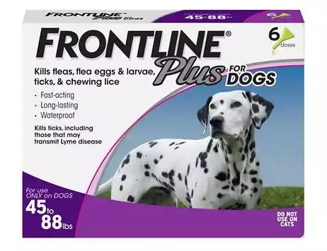 Frontline Plus Flea and Tick Spot Treatment for Large Dogs | Chewy