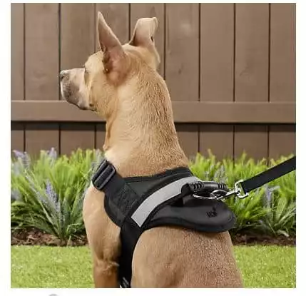 HDP Big Dog Soft No Pull Harness | Chewy