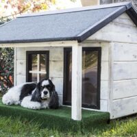 Best Outdoor Dog Houses (Note: Will Link To Articles 'Best Insulated And Heated Dog Houses', And 'The 8 Best Dog Houses For Sale On Amazon', & 'Buying A Dog House: Complete Buyer'S Guide'