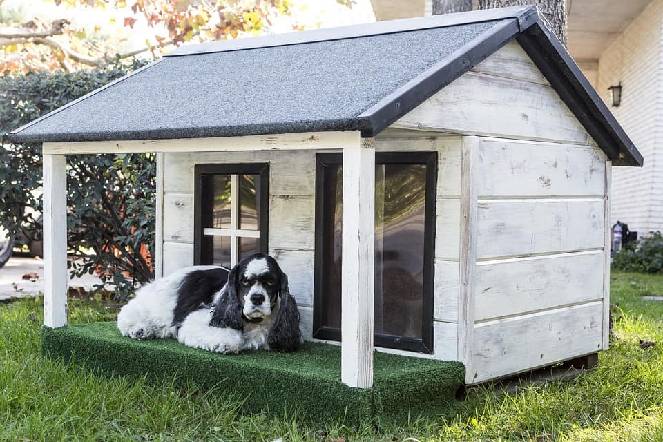 Best Outdoor Dog Houses (Note: Will Link To Articles 'Best Insulated And Heated Dog Houses', And 'The 8 Best Dog Houses For Sale On Amazon', & 'Buying A Dog House: Complete Buyer'S Guide'
