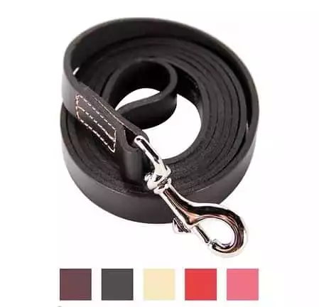 Logical Leather Dog Leash, 6-ft | Chewy