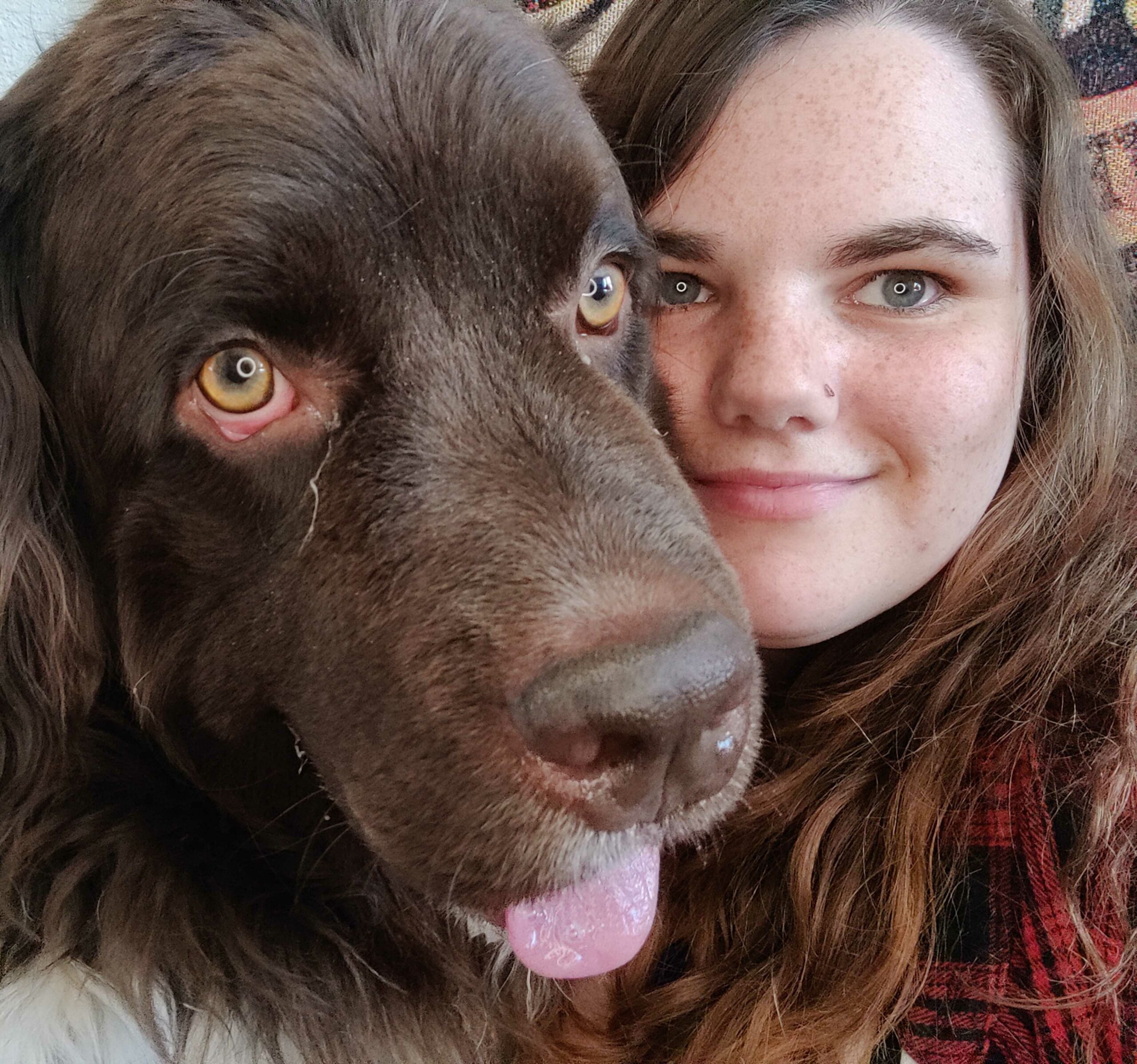 How To Stop Your Dog From Eating Grass (5 Proven Ways) Scout Knows