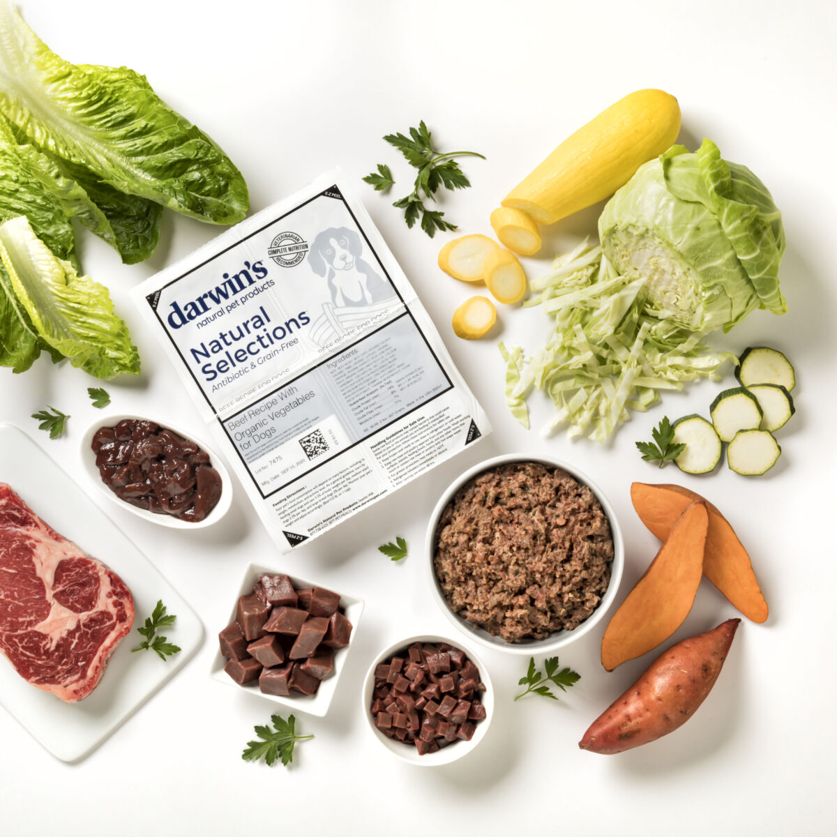 Darwins Dog Food Service Review Scout Knows