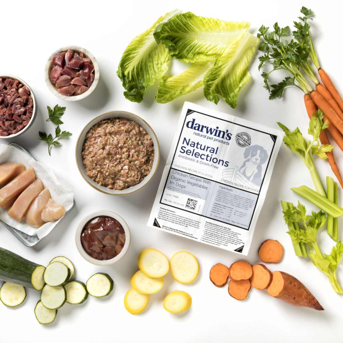 Darwins Dog Food Service Review Scout Knows