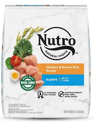 Nutro Wholesome Essentials Puppy Dry Dog Food | Chewy