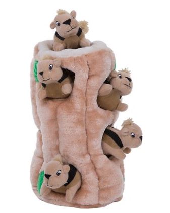 Outward Hound Hide A Squirrel Squeaky Puzzle Plush Dog Toy | Chewy