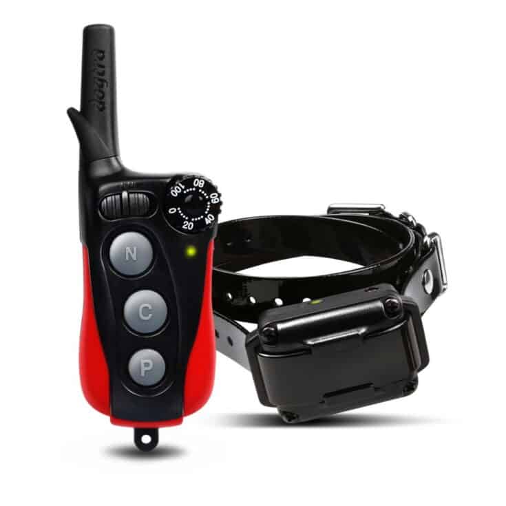 Best Training Dog Collars A Complete Buyer's Guide