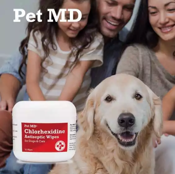 Pet MD Chlorhexidine Antiseptic Wipes for Dogs & Cats | Amazon