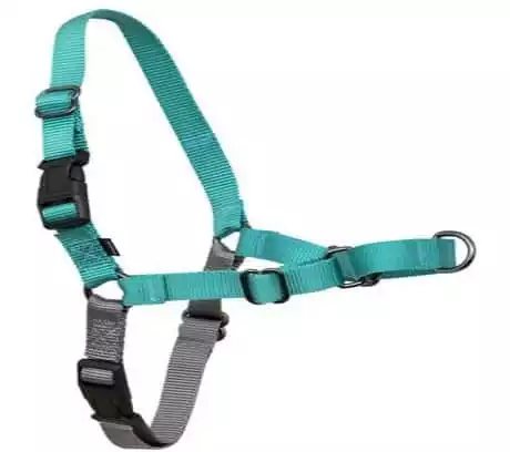 PetSafe Easy Walk Dog Harness | Chewy