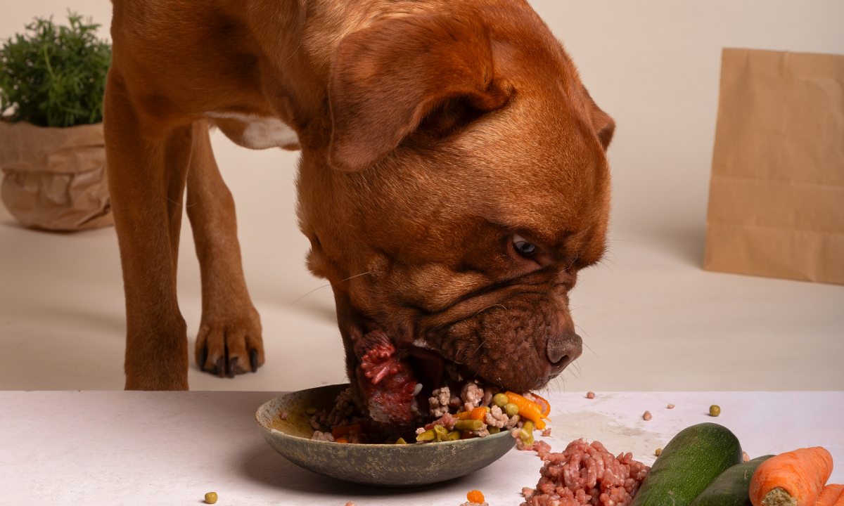 Primal Dog Food Alternatives