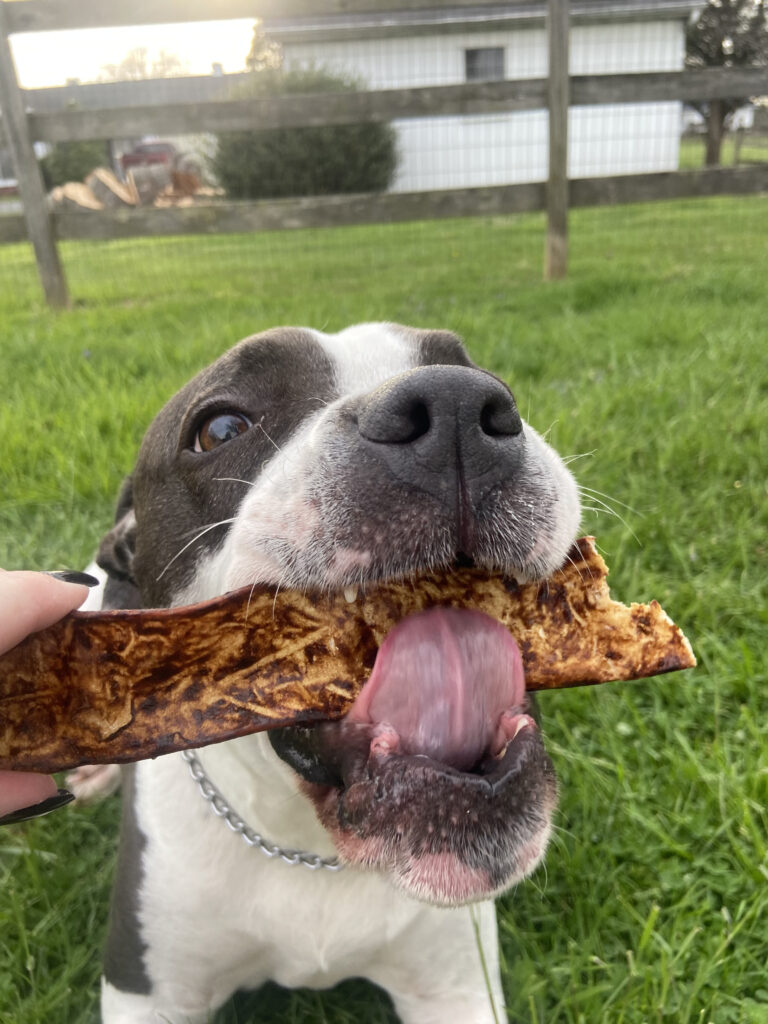 Red Barn bully slice