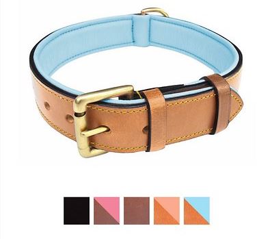 Soft Touch Collars Leather Two-Tone Padded Dog Collar | Chewy