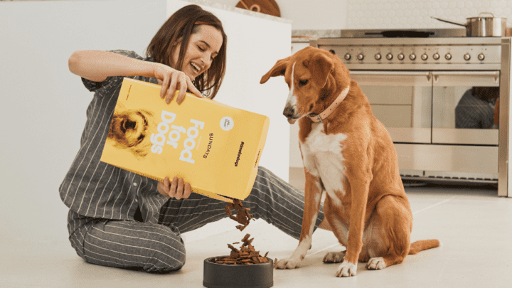 Sundays Dog Food Subscription Review