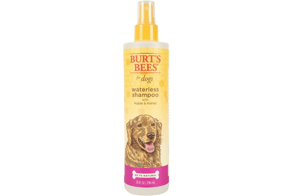 Best Dry Shampoo for Dogs Guide Scout Knows
