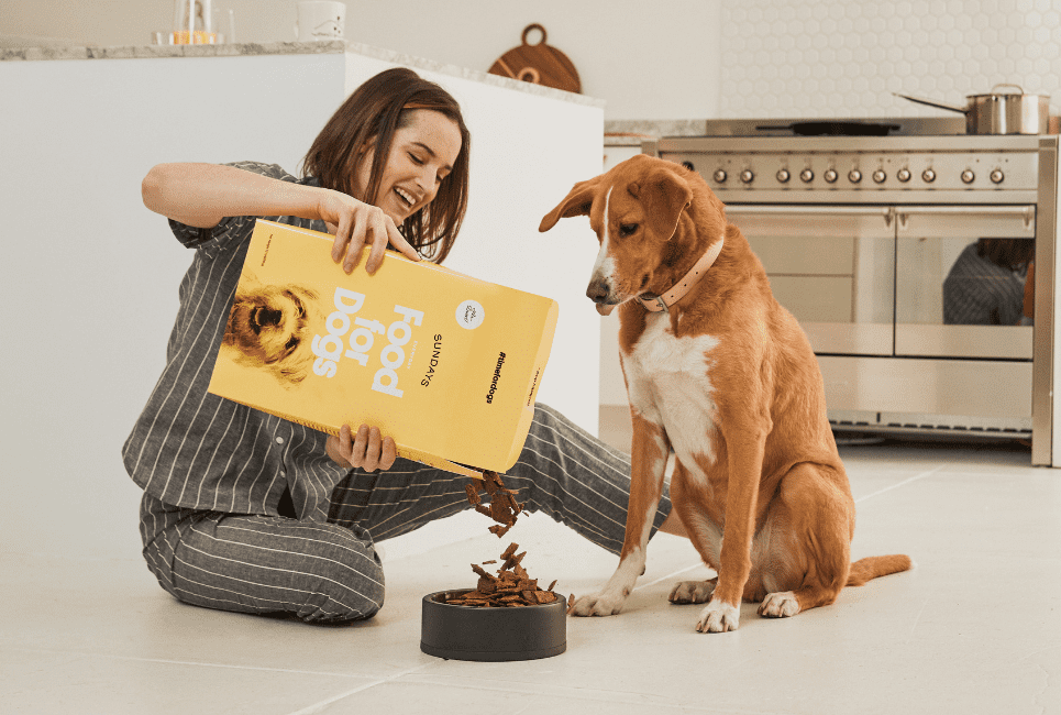 Sundays dog food review