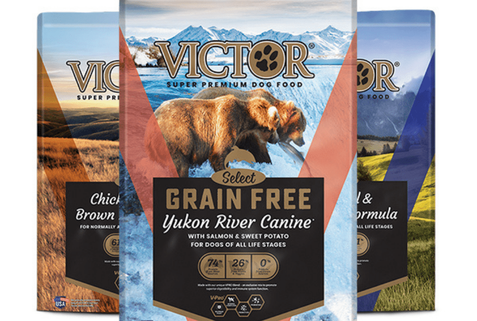 Victor Wet Dog Food Everything You Need to Know, Yok! Victor Wet Dog Food Everything You Need to Know, Yok!
