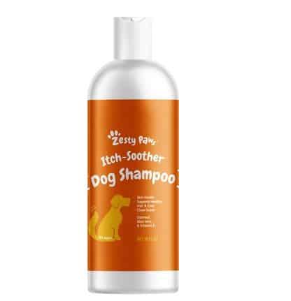 Zesty Paws Itch Soother Dog Shampoo | Chewy