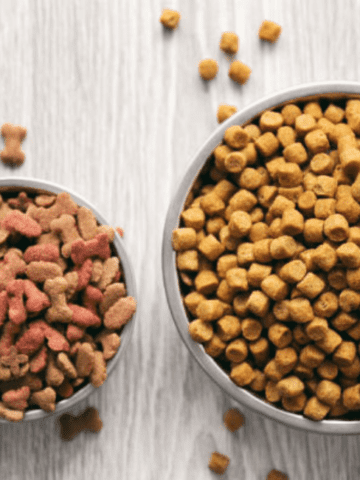 zignature catfish review