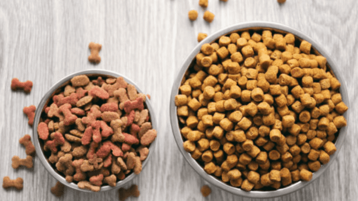 Zignature Dog Food Review