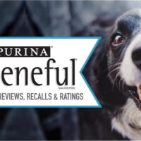 Beneful Dog Food Review