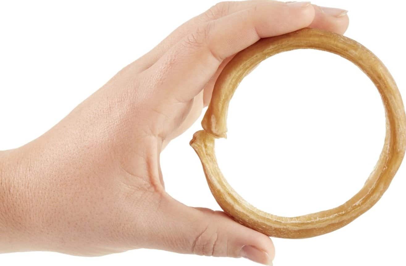 chewy bully ring