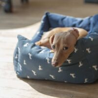 Best Outdoor Dog Bed