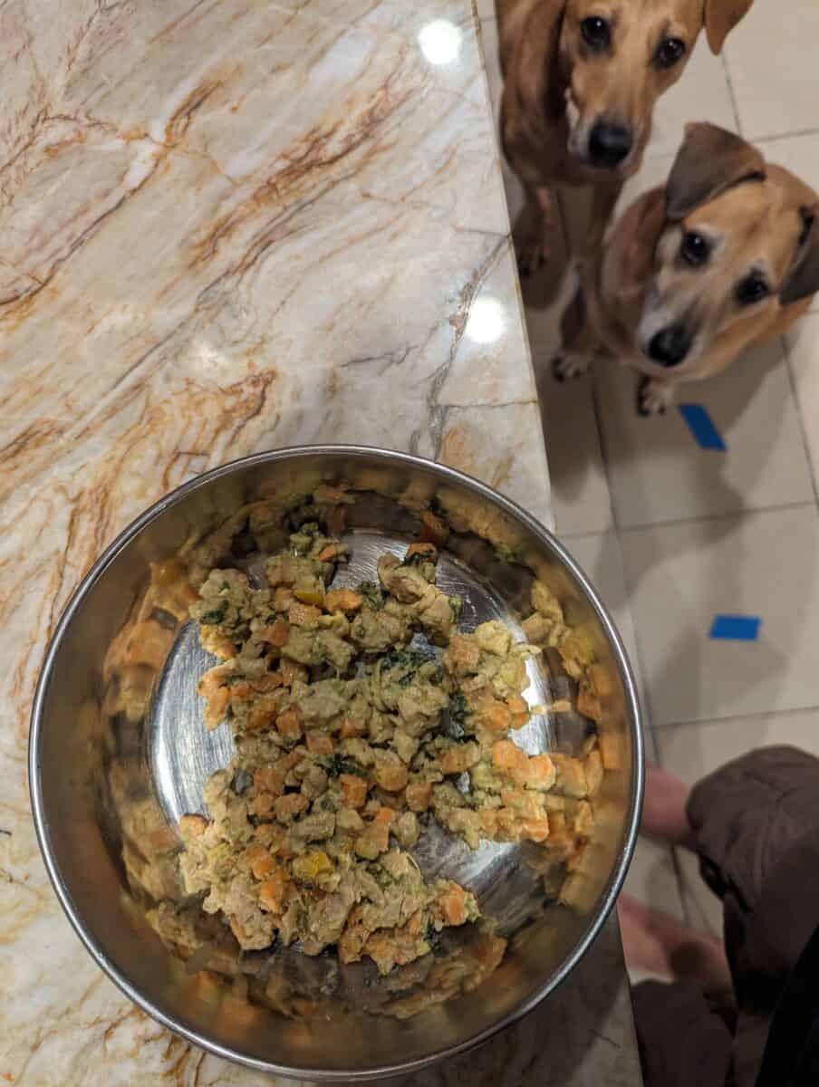 Nom Nom Dog Food Subscription Review Scout Knows