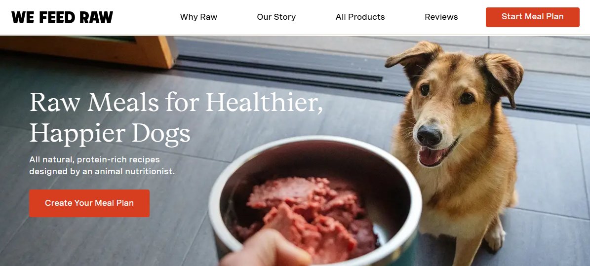 how to start a raw dog diet