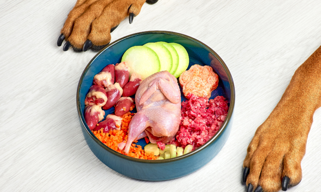 organ meat dog food