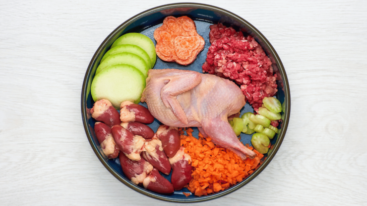 Protein Rotation Benefits for Dogs