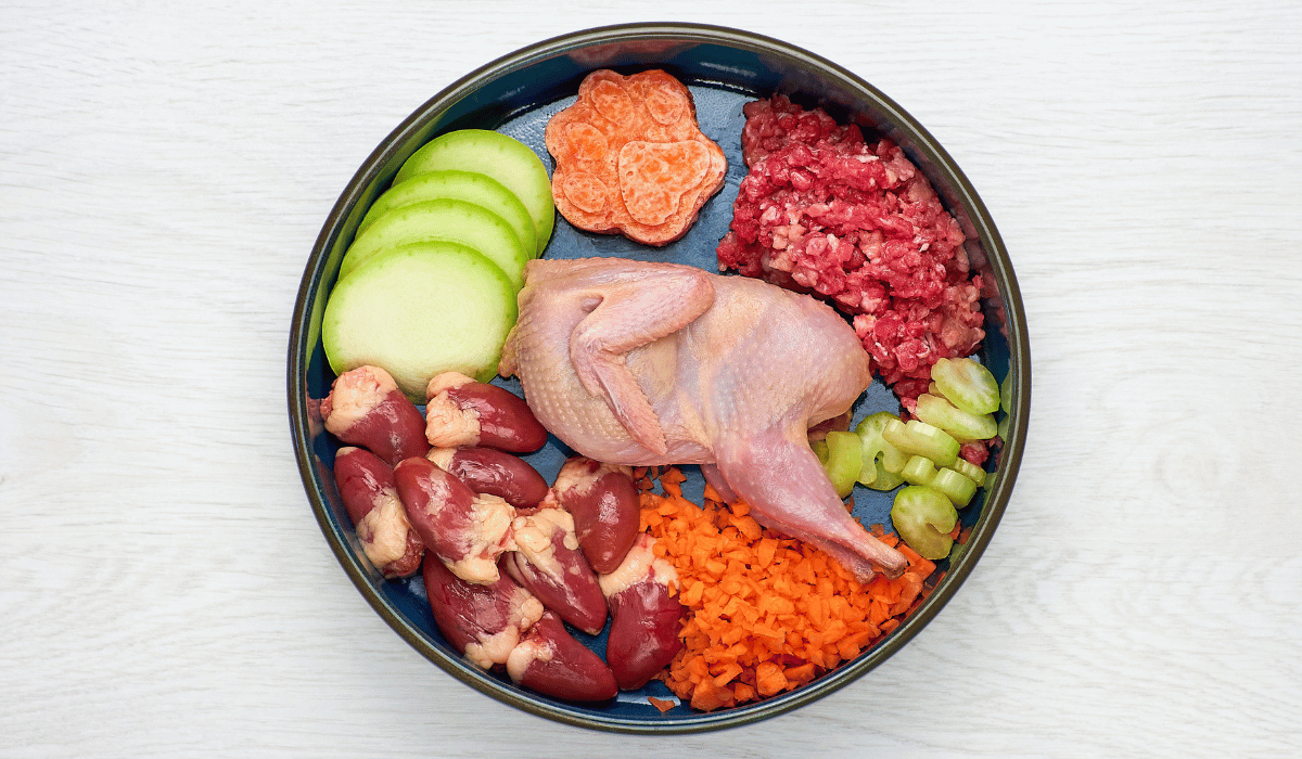Protein Rotation Benefits for Dogs